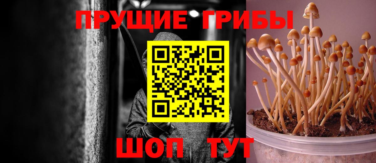 Галлюциногенные грибы MAGIC MUSHROOMS Прохладный